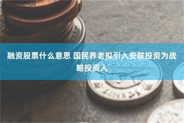 融资股票什么意思 国民养老拟引入安联投资为战略投资人