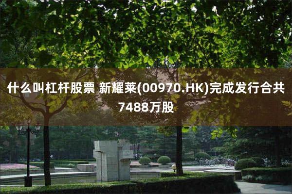 什么叫杠杆股票 新耀莱(00970.HK)完成发行合共7488万股