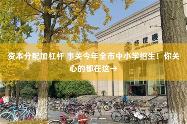 资本分配加杠杆 事关今年全市中小学招生！你关心的都在这→