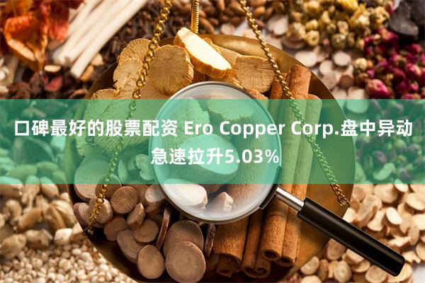 口碑最好的股票配资 Ero Copper Corp.盘中异动 急速拉升5.03%