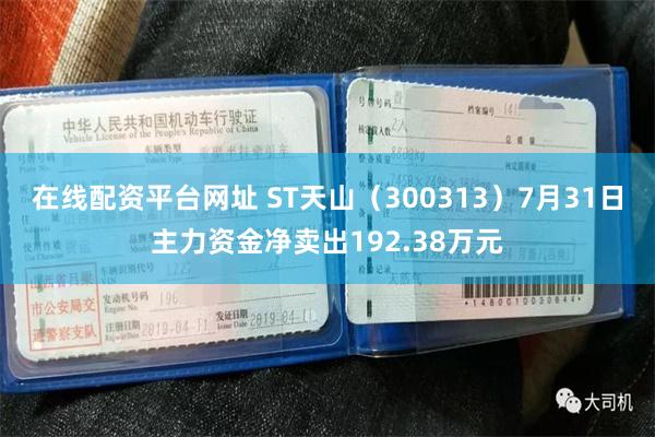 在线配资平台网址 ST天山（300313）7月31日主力资金净卖出192.38万元