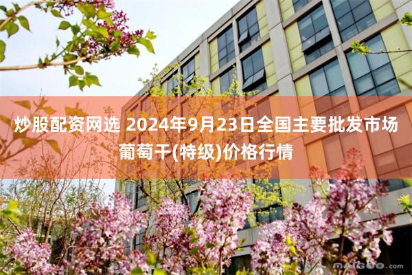 炒股配资网选 2024年9月23日全国主要批发市场葡萄干(特级)价格行情