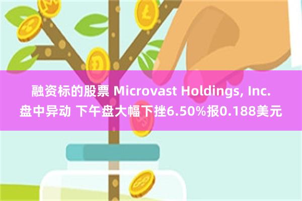 融资标的股票 Microvast Holdings, Inc.盘中异动 下午盘大幅下挫6.50%报0.188美元