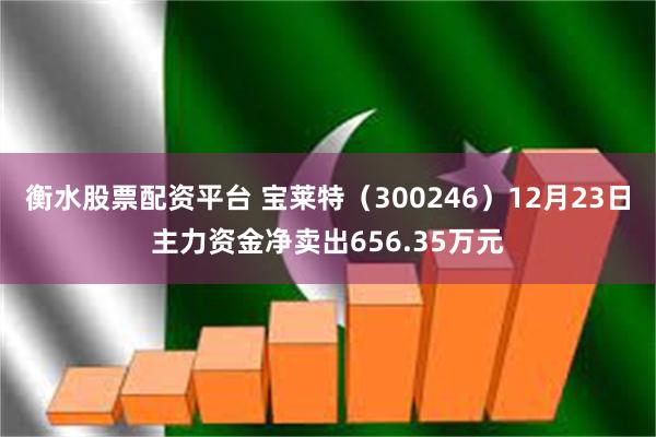 衡水股票配资平台 宝莱特（300246）12月23日主力资金净卖出656.35万元