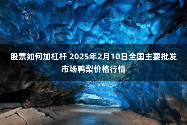 股票如何加杠杆 2025年2月10日全国主要批发市场鸭梨价格行情